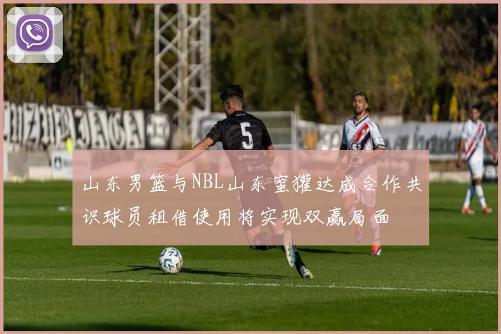 山东男篮与NBL山东蜜獾达成合作共识球员租借使用将实现双赢局面