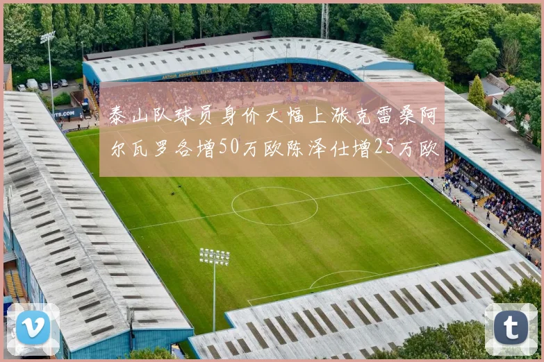泰山队球员身价大幅上涨克雷桑阿尔瓦罗各增50万欧陈泽仕增25万欧