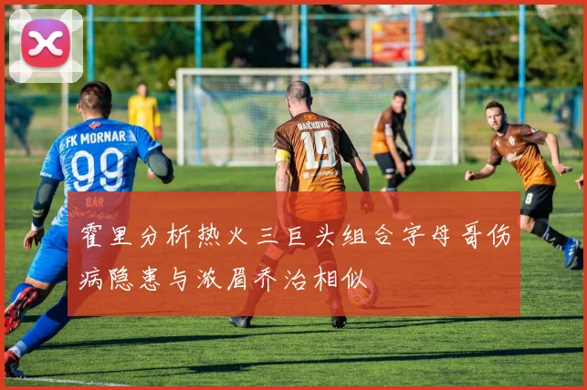 霍里分析热火三巨头组合字母哥伤病隐患与浓眉乔治相似